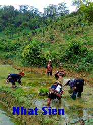 Nhatsien.xtgem.com